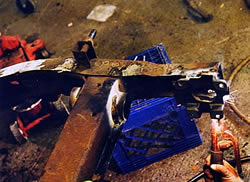 repairframe2.jpg